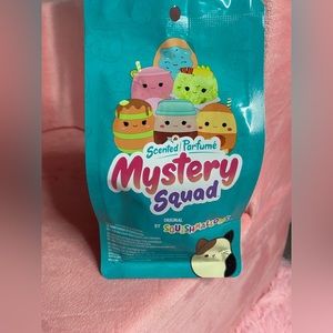 Mystery scented squish brunch squad 5” comes with bio tags!!